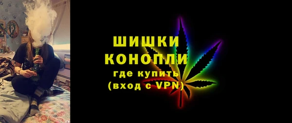 индика Балабаново