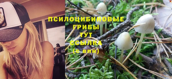 прущая мука Баксан