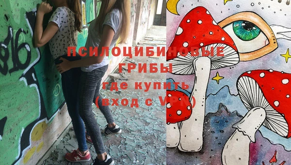 индика Балабаново