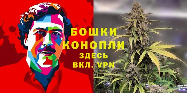 индика Балабаново