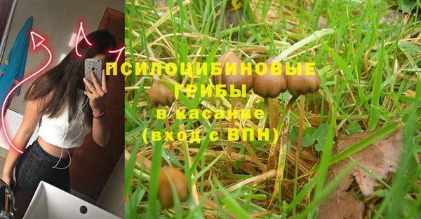 прущая мука Баксан