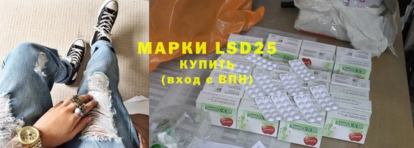 индика Балабаново