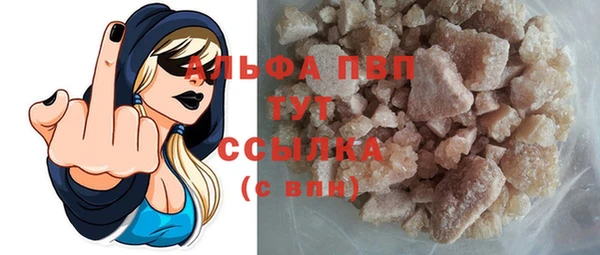 индика Балабаново