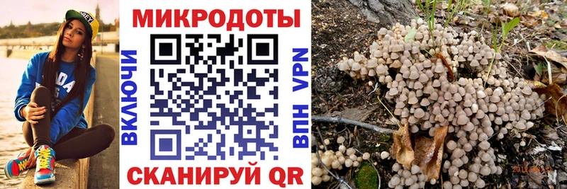 Галлюциногенные грибы Magic Shrooms  Новое Девяткино 